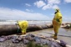 Not enough 'money in the world' for all BP spill claims