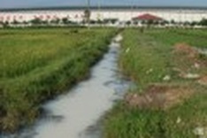 Pollution threatens the existence of a community