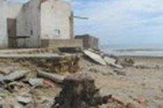 Sea consuming community