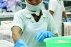 Tougher road awaits free-wheeling economy