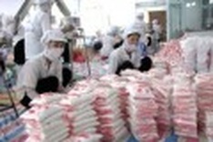 Importing salt sheds light on key issues