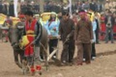 State President tills field to start the New-Year crop