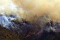 Fire threatens Hoang Lien National Park