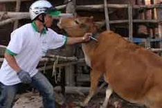 Ministry warns of increasing disease threat