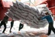 Rice price to be kept stable