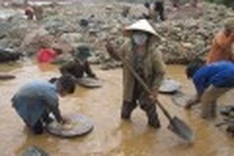 Kon Tum people search for gold to survive