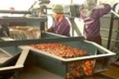 Firms invest $1.8 billion overseas in four months