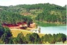 New system to protect forests