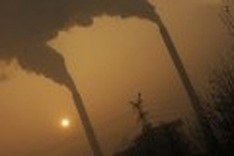 China coal surge held back warming: study