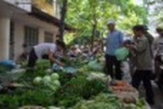 ADB: Vietnam’s economy slows down amid inflation