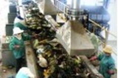 Puny fines fail to deter environmental crimes