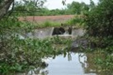 Vietnamese firm criticised for polluting local community