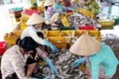 Seafood processors pollute port town