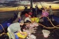 Fisheries to cut greenhouse emissions