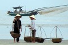 Not enough fish in the sea for Ha Tinh’s traders