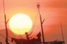 Neon wins Vietnam patch