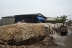 Hanoi: no proper solution to rescue craft villages found
