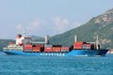 Vietnam shipping firm to be audited after reported losses
