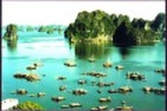 Vietnam in Asia's Top 3 most popular destinations: travel website