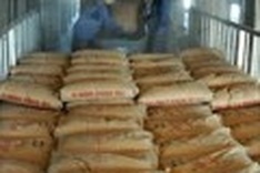 Cement supply may fail to meet demand