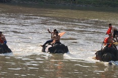 Dak Lak hosts elephant race