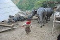 An unforgettable hike throughout remote Vietnam