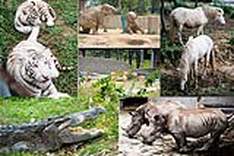 The largest zoo in northern central region
