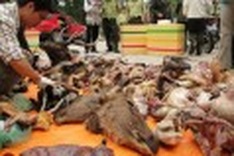 Conservationists call for the head of Da Lat zoo owner