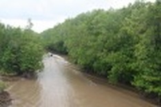 Australia, ADB help protect Vietnam from climate change
