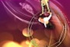 Hanoi hosts third international circus festival