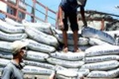 Work begins on VN's biggest cement project