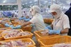 Vietnam plans to export some 2 million tons of marine products by 2020