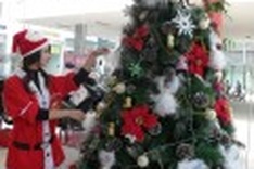 Hanoi's streets become glittered with Christmas cheer