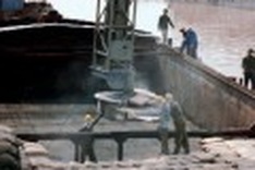 Cement industry looks to limit imports