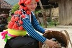 An ethnic Hmong National Day in Dien Bien Province