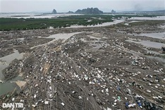 Thousands of Quang Ninh fish farms get rebuilding support