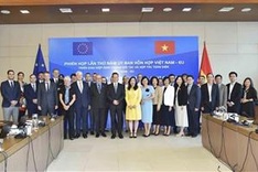 Vietnam-EU Joint Committee holds fifth meeting in Hanoi