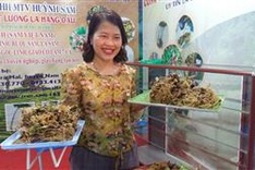 International Ngọc Linh ginseng festival set for 2025