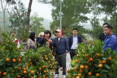 Hanoi families visit relatives’ graves ahead of Tet