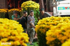 Lunar New Year atmosphere fills Ho Chi Minh City