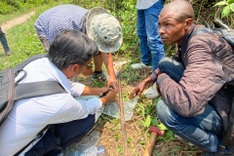 Vietnamese experts turn African wasteland into rice fields