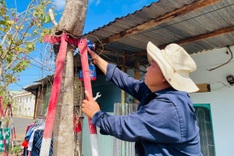 Over 170 bauhinia trees freed from years of iron clamps