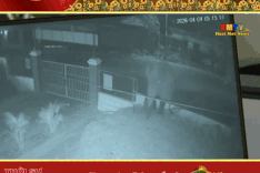 Wild elephant enters school, destroys crops in Son La