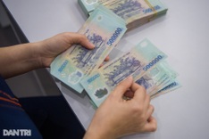 Vietnamese banks cut deposit interest rates, 7 per cent a year now rare