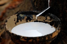 Rubber exports diversify as reliance on China declines