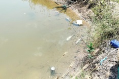 Ca Mau sets deadline to resolve saltwater fish deaths