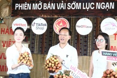 Bac Ninh leaders sell more than 30 tonnes of lychees via livestream