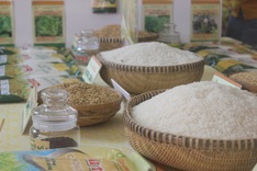 Vietnam may import 3.9m tonnes of rice in 2026