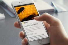 Vietnam issues decree penalising unauthorised sharing of media content