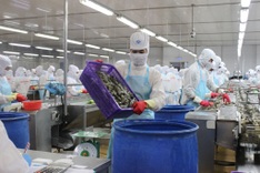 Record logistics costs squeeze Vietnam's exporters
